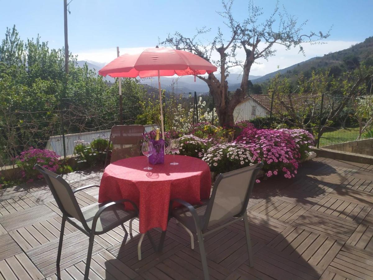 Studio le romantique à 20 kms de Nice Bendejun Exterior foto